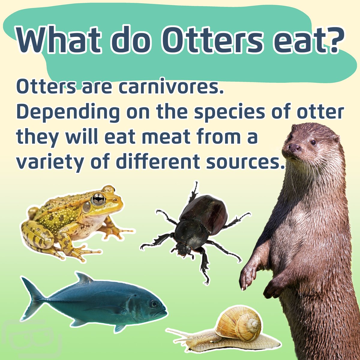 Lookout Lunch Box tweet media