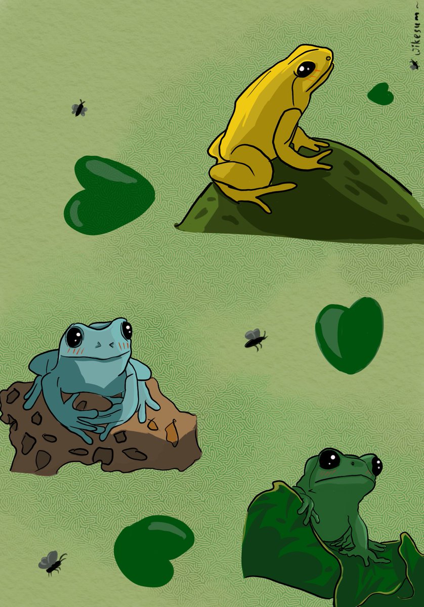 wikesum's tweet photo. My little frogs 💚🐸🪷
================ 

#art #artwork #illusrtationart #Procreate #frog #cute #animals #draw #drawingart #artstyle #swamp #amphibia https://t.co/717K5H6QZp
