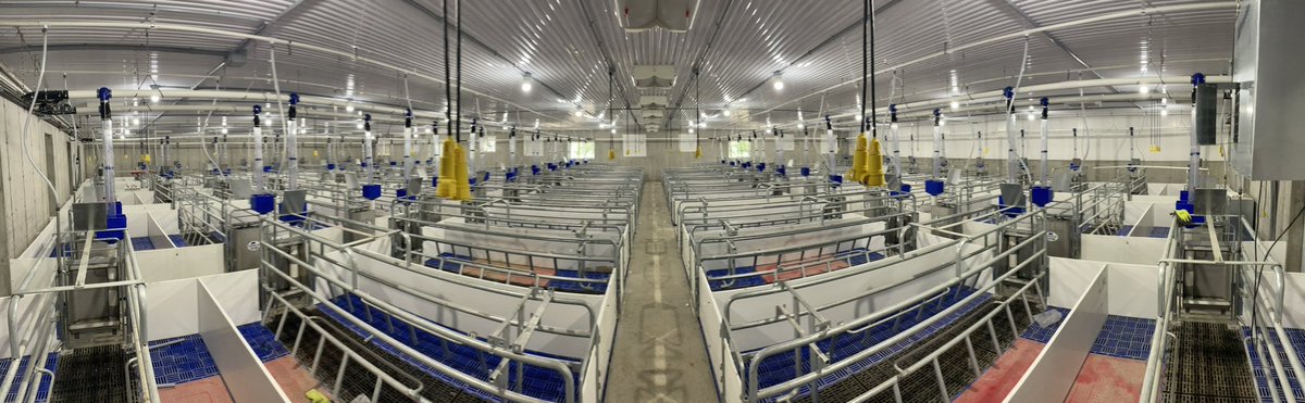 MR_ENG_DESIGN's tweet photo. Final for this massive farrowing facility east of Exeter by @schoondbros  great work by all teams. Barns like these seem like endless work with room after room and piles of equipment. @OntPorkCongress @OntAg #agconstruction https://t.co/HtrEbz9amg
