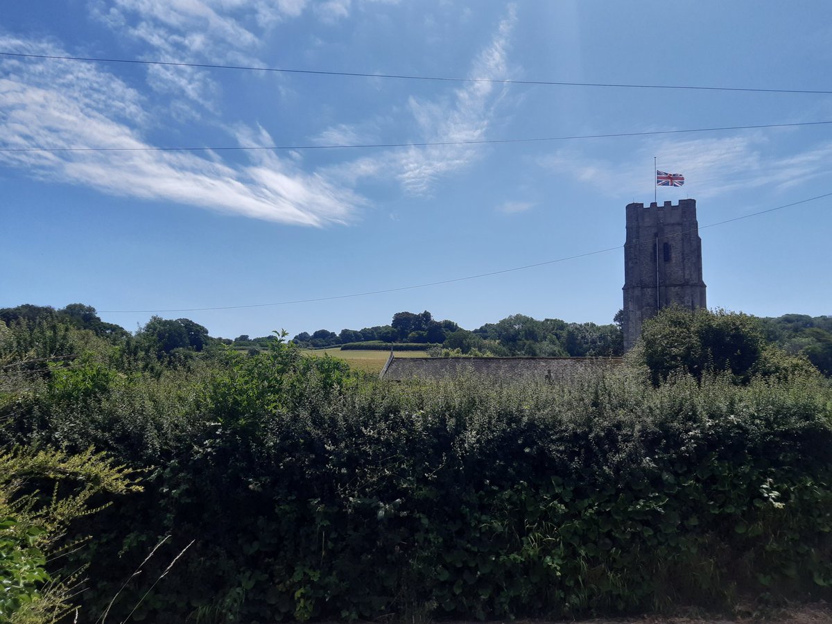 LGuedemann's tweet photo. What an amazing privilege to be writing my PhD thesis in the Devon countryside. After 4 days of self-chosen solitude, I have convinced myself that the cows are cheering me on for every written word. 
#phdlife #writinglife https://t.co/l9gtzImjyQ