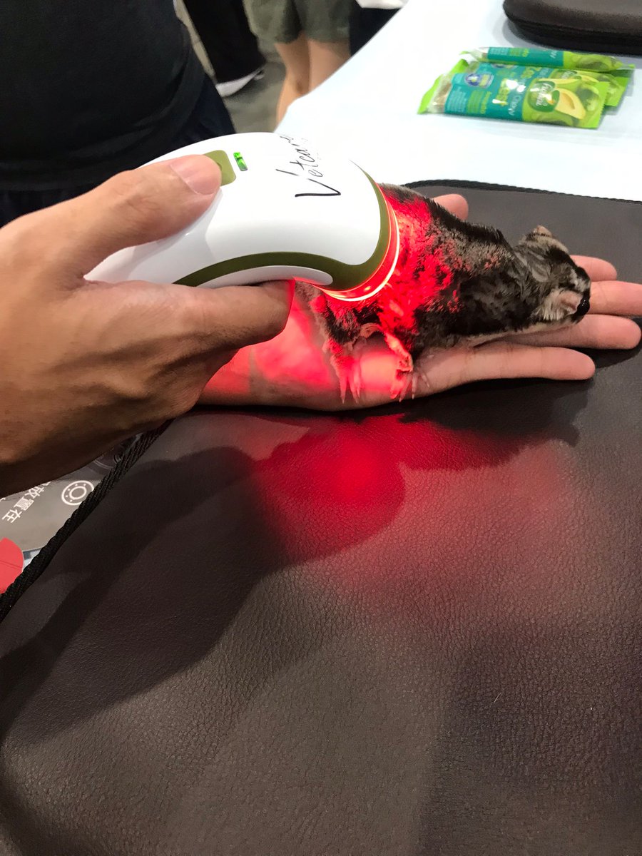 PhotizoLight's tweet photo. Visit Eastech at booth (J1133) with your pet to try the Photizo Vetcare at The Taipei Pets Show this weekend 2023/07/07 to 2023/07/10

#Eastech #Photizo #PhotizoVetcare #TaipeiPetsShow #PetLovers #2023TaipeiPetSuppliesExhibition #petsuppliesexhibition https://t.co/KK75QXyxO9