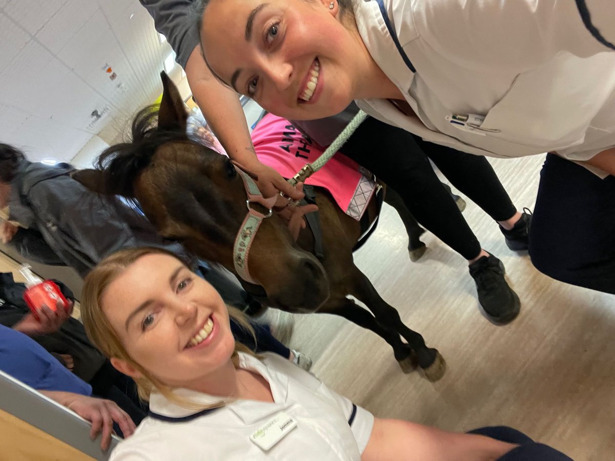 Jemma Ashton (@physiojem) on Twitter photo Always a good day on the ward when Secret the pony comes to visit 🐴 <a href="/MSEHospitals/">Mid and South Essex NHS Foundation Trust</a> <a href="/GR_Physio/">Georgia Roberts</a> Always a good day on the ward when Secret the pony comes to visit 🐴 <a href="/MSEHospitals/">Mid and South Essex NHS Foundation Trust</a> <a href="/GR_Physio/">Georgia Roberts</a>