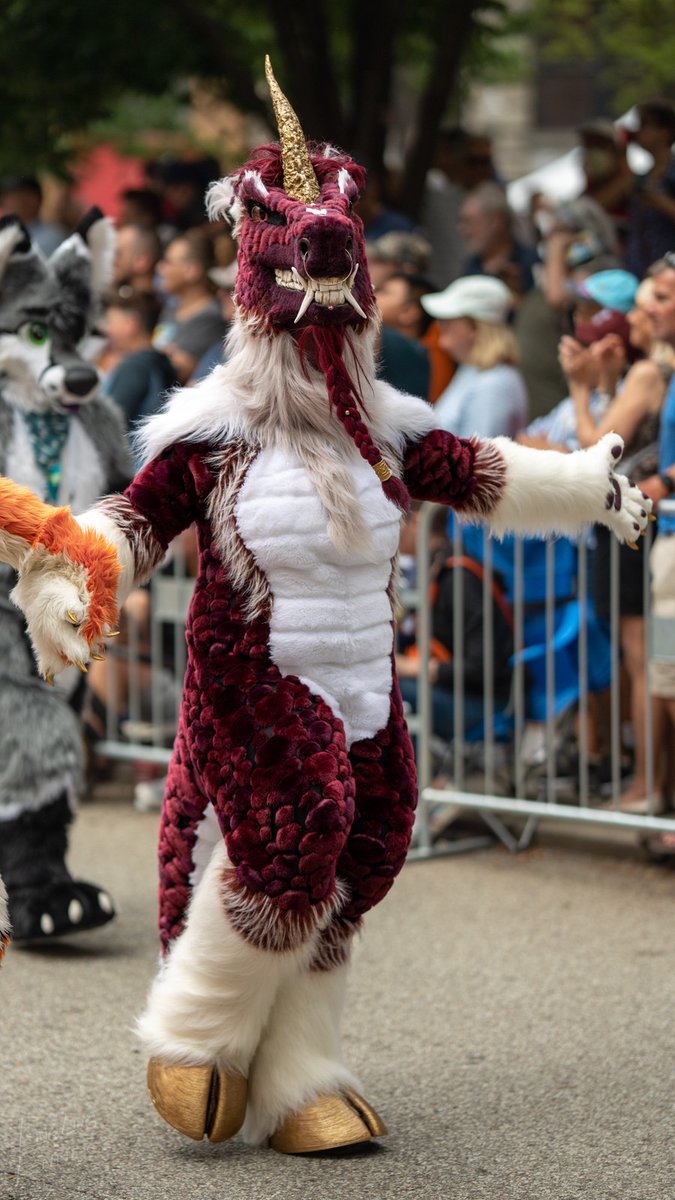 This has been a very tough week for me. 
But I'm learning to stand up for myself and care about my happiness. 

Here's a beautiful photo of Fangtasia from AC2022. ♡ 
#FursuitFriday

Photo by Linglingfennec on Furtrack
