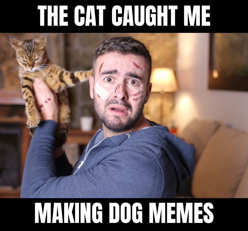 The cat caught me making dog memes.
#meme #joke #haha #lmao #memes #cat #dog #pethumor