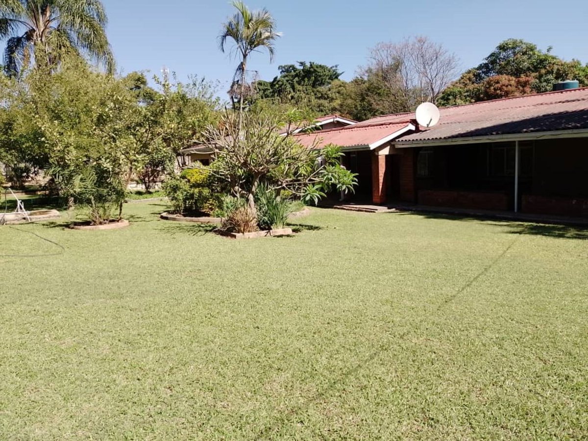 PamGoldingZM's tweet photo. 3-Bedroom House for Rent in Ibex Hill 

Well-maintained, spacious, and stylish. Includes a swimming pool, staff quarters, and close to schools, Pick 'n' Pay, and the American embassy. 

Price: $2,200. 
Agent: Nkunwa Kayumba
Contact: +260 962 758276

https://t.co/XNA2re29uK https://t.co/zfYu0j7cJR