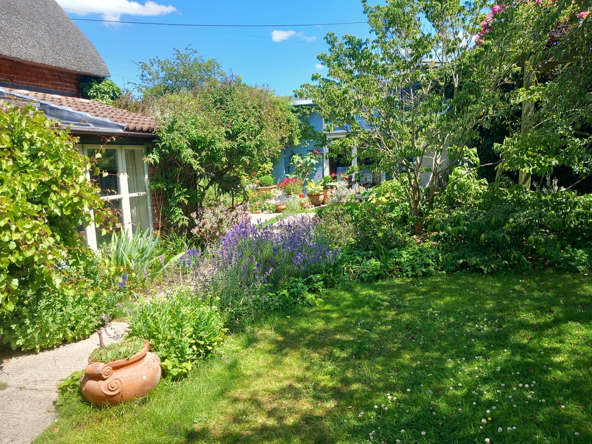 Such a shame to be closed this weekend.  But, if &amp; when you come next week/end, I hope you'll spend a few minutes to wander thro the garden, or sit on a bench for a moment. A few photos near the house. @SiobanCopp <a href="/rosemaryfarrer/">Rosemary Farrer</a> <a href="/StephenImages/">Stephen Davis</a>