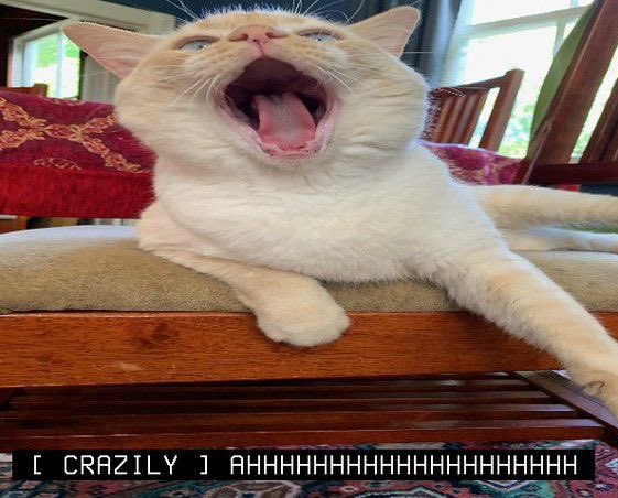 2minthings's tweet image. 