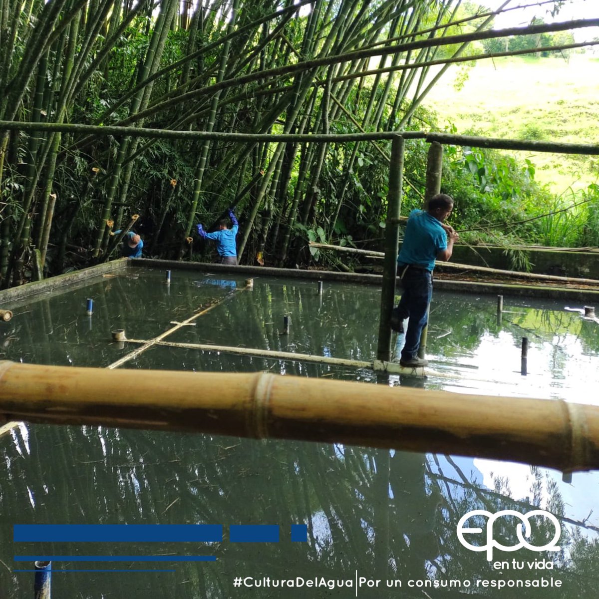 EpQuindio's tweet photo. #EPQMejoraConstantemente | Continuamente los funcionarios de Entidad Epq realizan limpieza y mantenimiento a cada una de las Plantas de Tratamiento de Agua Residual de los municipios donde prestamos nuestro servicio de acueducto, en esta oportunidad estuvimos en #PuebloTapao. https://t.co/g3ZqGW0Z34