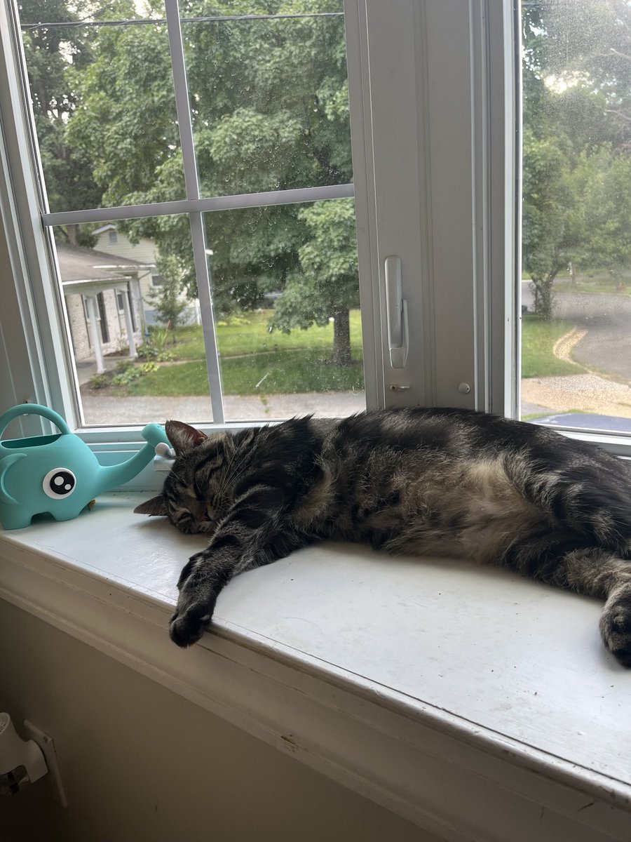 Fishtopher and Friends tweet media