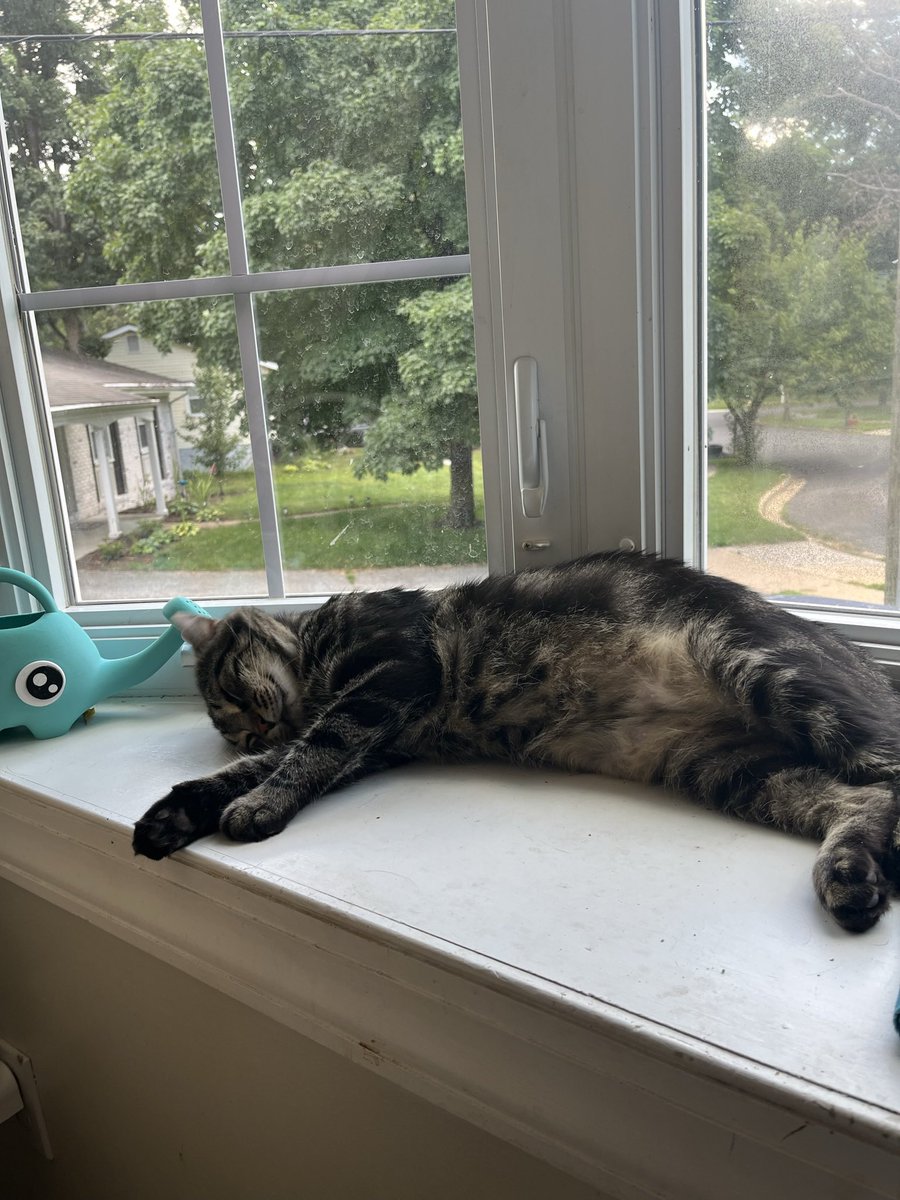 Fishtopher and Friends tweet media