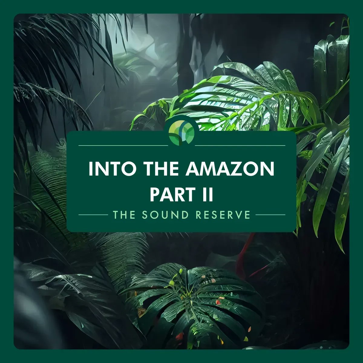 thesoundreserve's tweet photo. Experience the magic of the Amazon rainforest at night with our latest EP, 'Into The Amazon Part II'. Immerse yourself in a captivating symphony of nocturnal creatures on Spotify and all other music streaming platforms: https://t.co/m6uURoaUBt https://t.co/aqsLqPYFtt