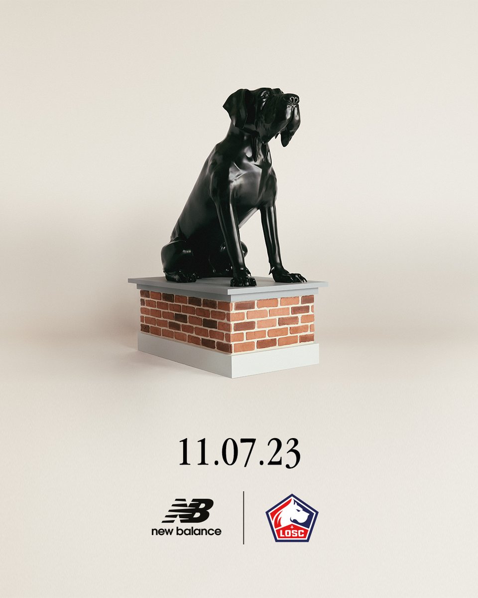 losclive's tweet photo. Rendez-vous demain à 12h ⏳

#Cequinousrendunique #NBFootball @NBFootball https://t.co/xIx70JbEP0