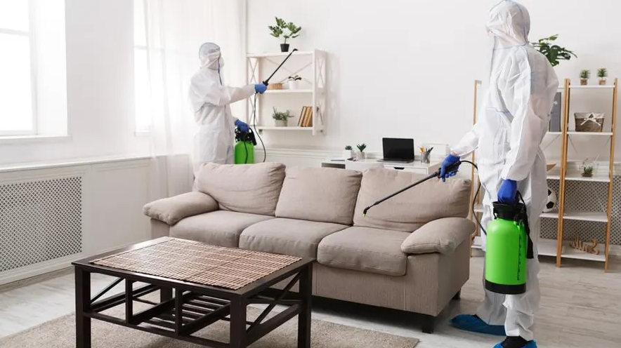 AmazingCarpetC2's tweet image. Best Pest Control Company Brisbane

🐜🕷️ Say goodbye to unwanted pests with Amazing Carpet Cleaning, the best #pest_control company in Brisbane. Our experienced technicians are trained to effectively eliminate pests from your home, providing a safe and pest-free environment.