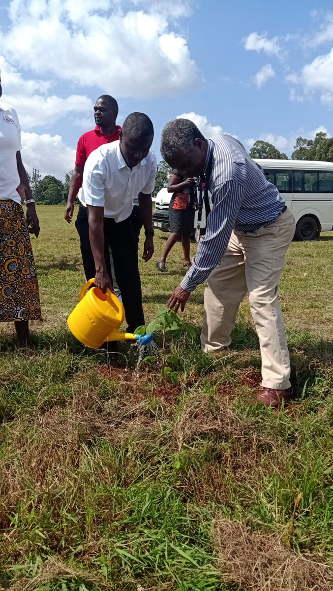 JOHN LINUS tweet media