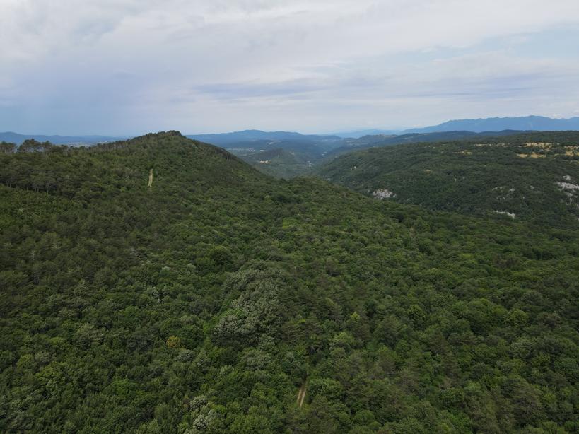 JamsekPetra's tweet photo. Trace of the strike-slip Raša Fault is drawing a sharp lineament, visible even in forested area of SW Slovenia
#fieldworkfriday #faultfriday #activefault #drone #remotepilot https://t.co/bmKfBijx5K