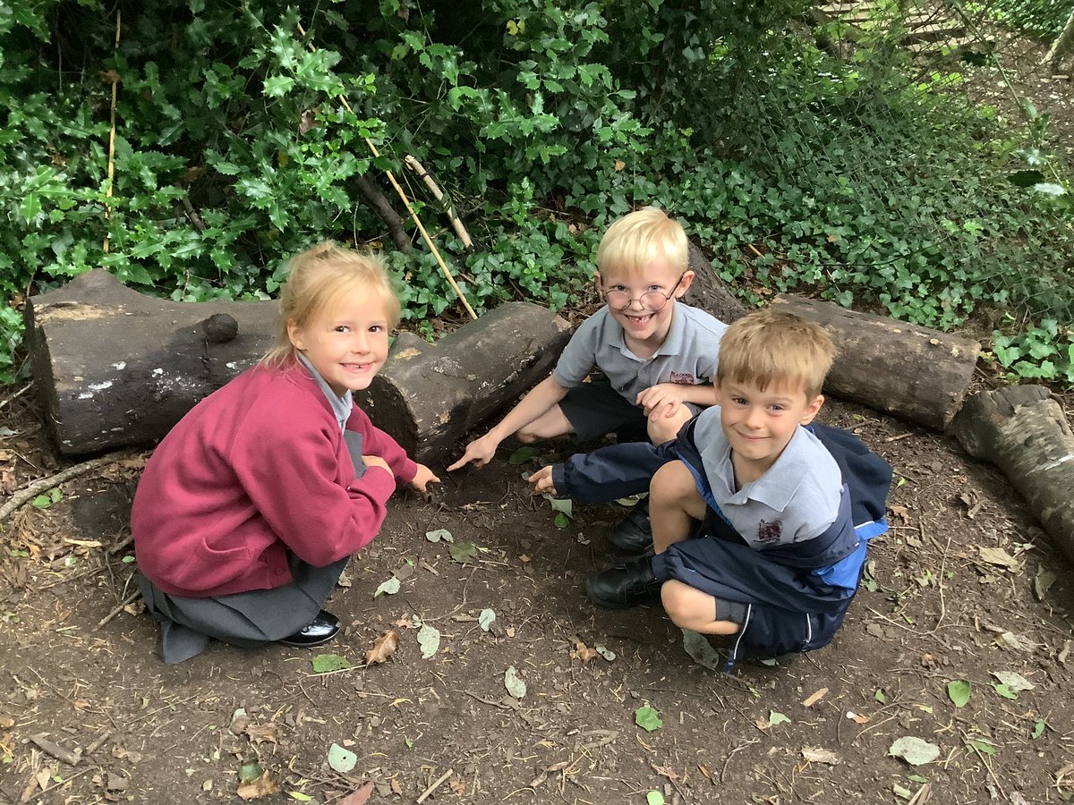 VanGogh_BPS's tweet photo. We really enjoyed going on our micro habitat hunt @BlackrodPSch https://t.co/Hgw5wkPDVo