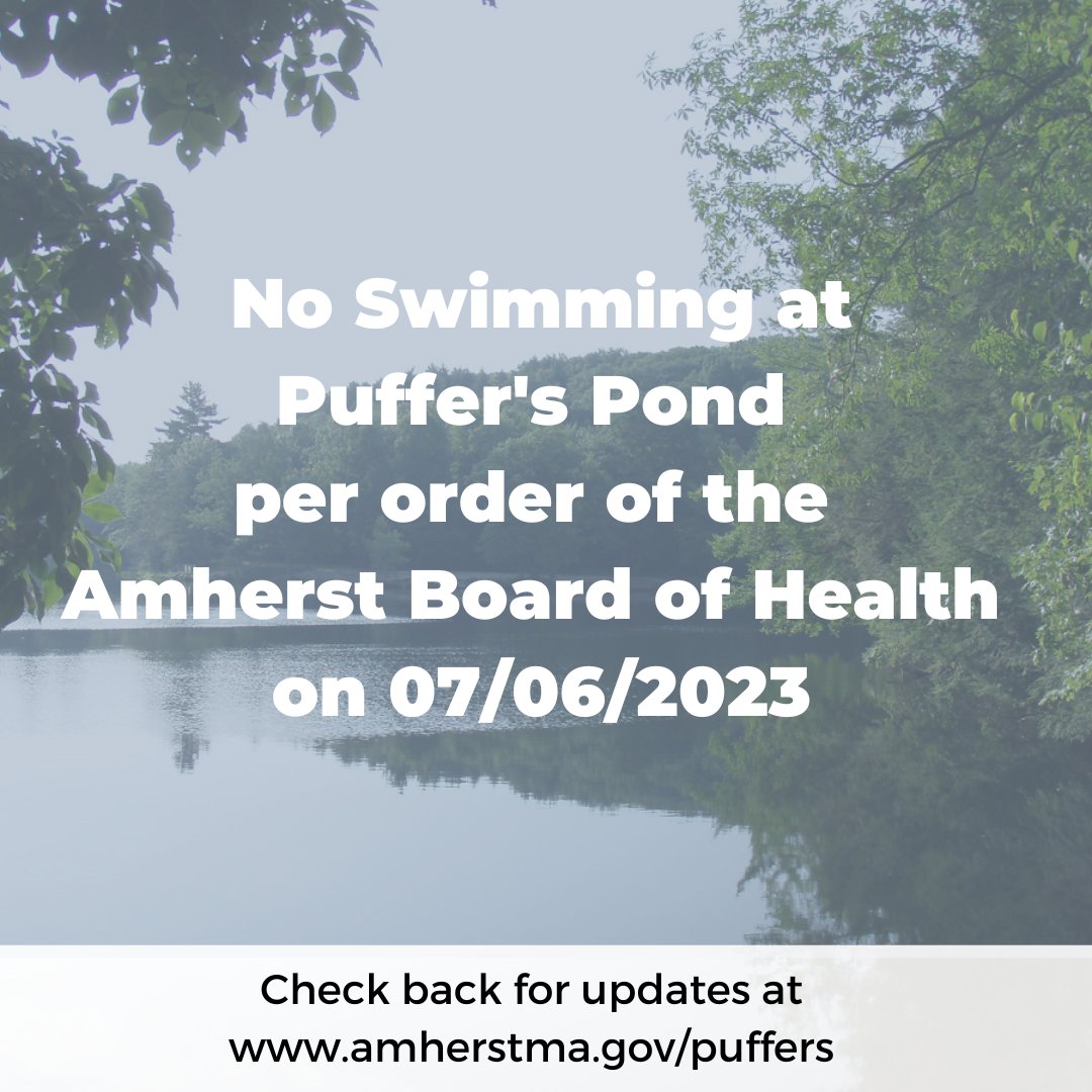 There is currently NO swimming at Puffer's Pond in #AmherstMA per order of the Board of Health due to elevated bacteria levels found during routine water testing. Check back for updates at amherstma.gov/puffers and watch for posted signage at the beaches.