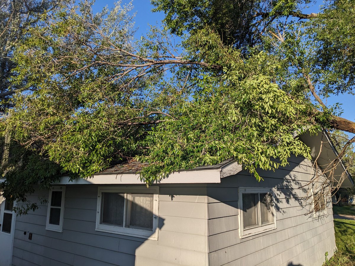 unfiltereddad's tweet photo. A giant tree branch fell on our Airbnb in Harrison last night during one of the craziest thunderstorms I've even been in the middle of. No leaks that we could tell and thankfully no structural damage that can be seen. #Nebraska #tripfromhell @NWSRapidCity @NWSCheyenne https://t.co/0AZ9Dqd8YG
