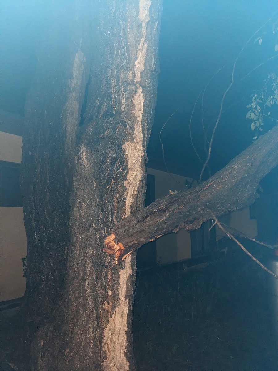 unfiltereddad's tweet photo. A giant tree branch fell on our Airbnb in Harrison last night during one of the craziest thunderstorms I've even been in the middle of. No leaks that we could tell and thankfully no structural damage that can be seen. #Nebraska #tripfromhell @NWSRapidCity @NWSCheyenne https://t.co/0AZ9Dqd8YG