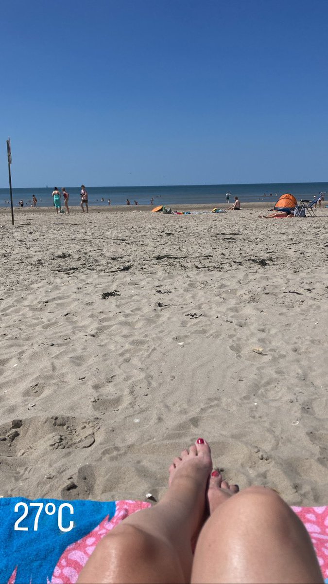 𝕊andra☀️ tweet media