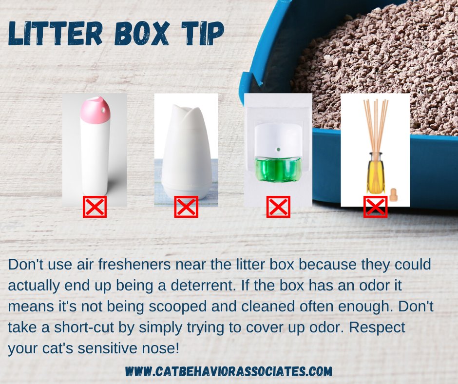 ThinkLikeaCat's tweet image. I see many products designed to cover litter box odor. Not only are these products unhealthy, they are very offensive to your cat's sensitive nose. Cats have 200 million scent receptors. The best odor control? Scoop the litter twice daily, and scrub the box as often as needed.