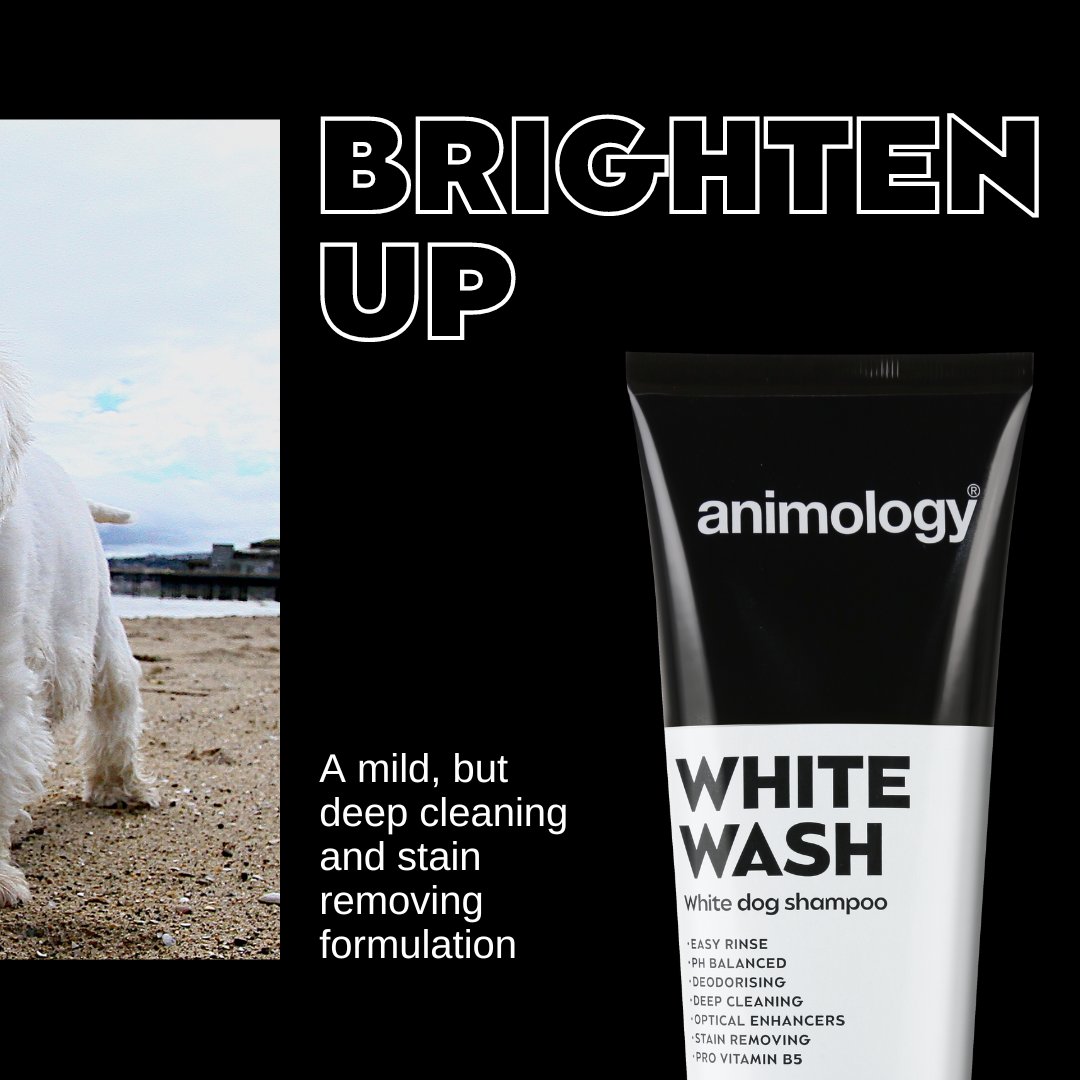 White and light coloured dogs are prone to staining and their coats can start to look a little dull and grubby over time.

Our White Wash shampoo is a specially formulated dog shampoo with built in optical enhancers that will help to leave your dog’s coat brilliantly white!