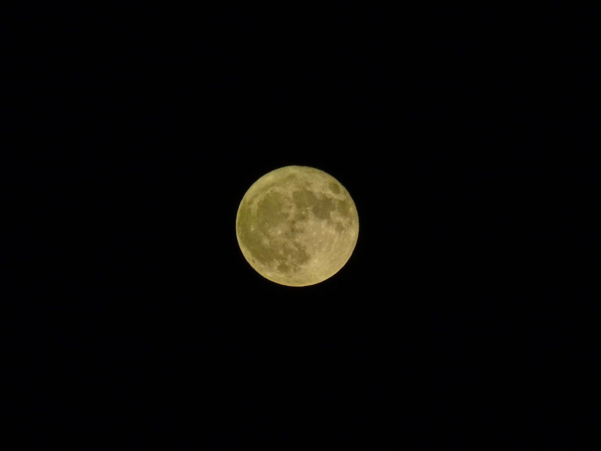 the moon is beautiful, isn’t it?