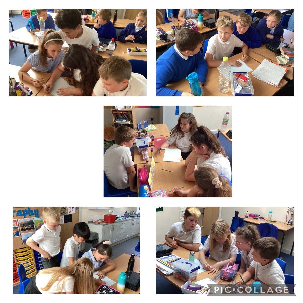 Macaw Class Y5 tweet media