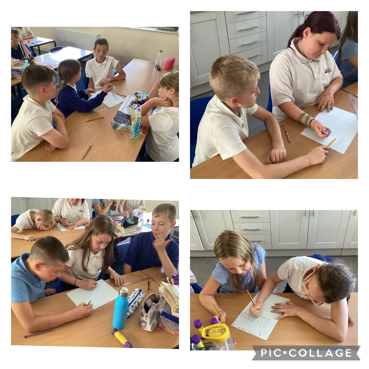 Macaw Class Y5 tweet media