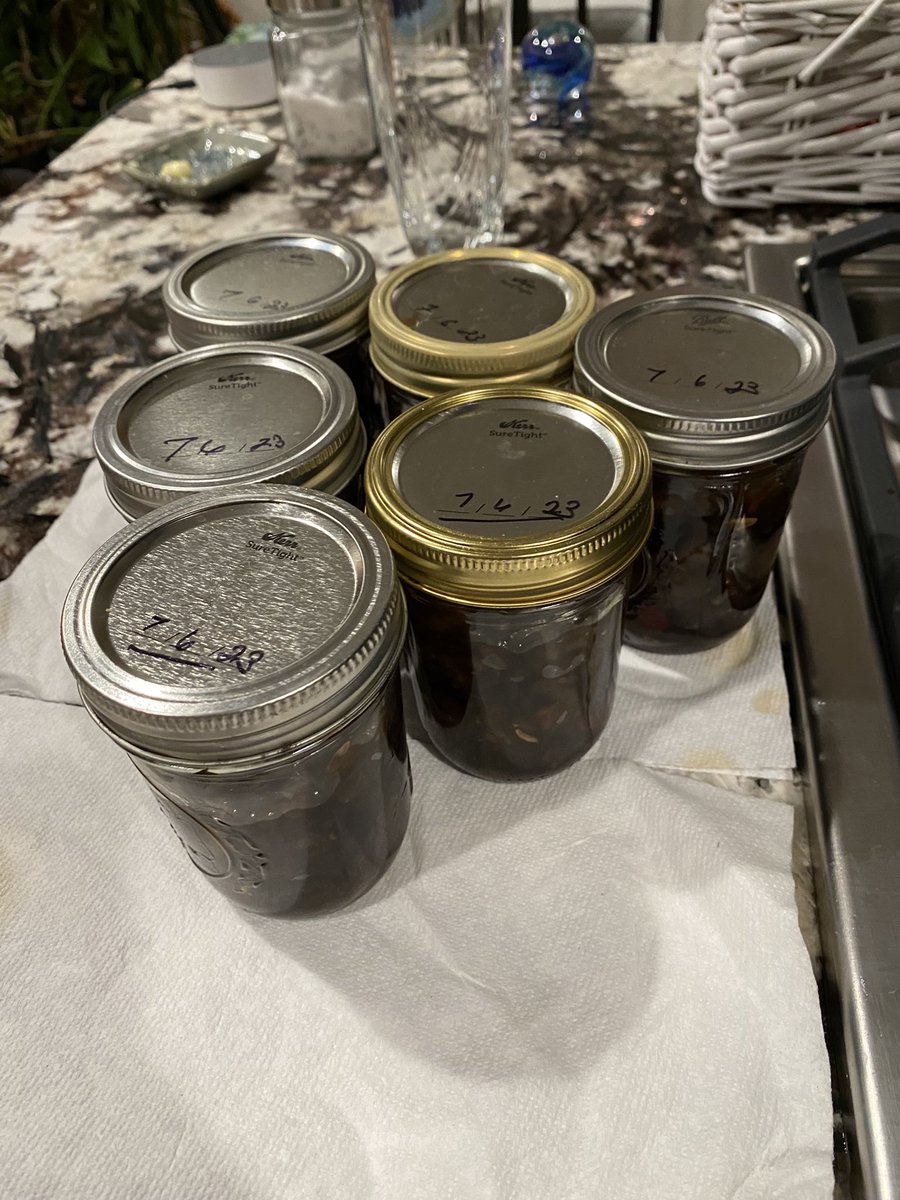 These cucs into tsukemono - five days later