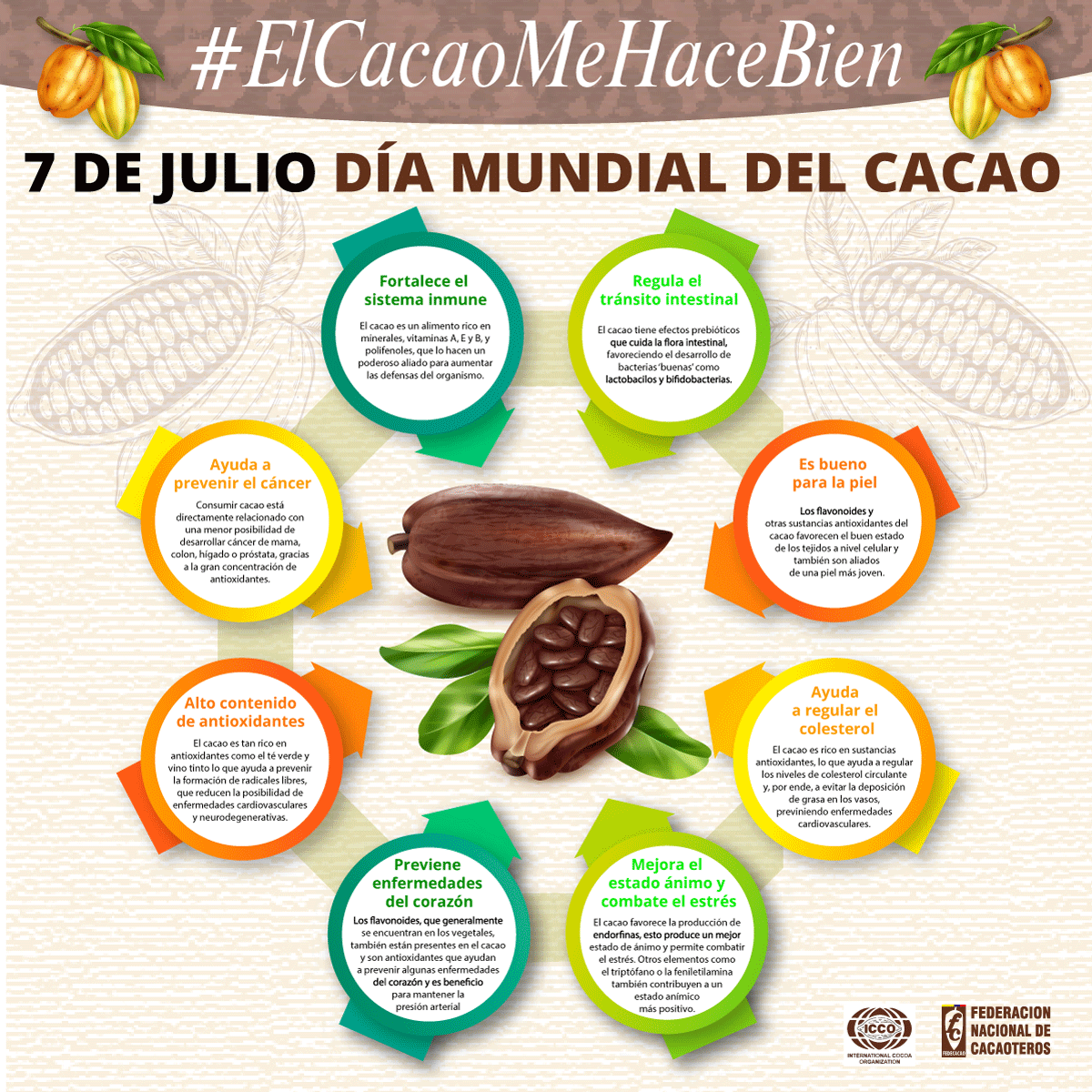 fedecacao's tweet photo. Hoy ! Es el #DiaMundialdelCacao, y en @fedecacao destacamos la importancia de esta gran fecha. Súmate al ht #ElCacaoMeHaceBien y cuéntanos por qué te hace bien el cacao ! https://t.co/HhE3xNHqiC