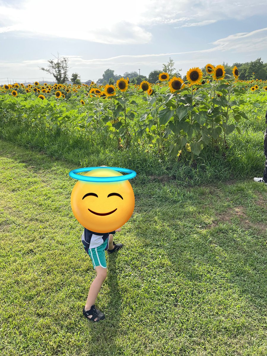 saya040789's tweet photo. 水遊び好きの👦を連れて、まつぶし緑の丘公園に行ってみた。めちゃめちゃすいてて貸切状態だった。とても綺麗な公園で、トイレも新しいし、東屋？も綺麗で良かった。授乳室もあったよ。そしてめっちゃ広い。駐車場無料でおおたかからは道がすいていれば30分くらい🚗 https://t.co/hylIyUMoSM