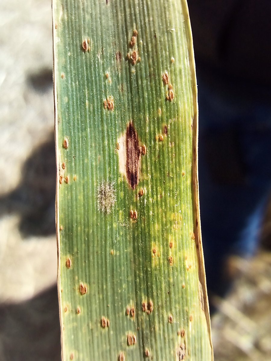 Remco Stam tweet media