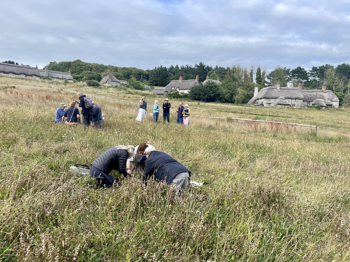 ShaunKiddell's tweet photo. Lovely evening attending a wildflower identification event in the meadows of Mothecombe #DevonHeaven #moormeadows #mothecombe https://t.co/9E45Xp3SY4