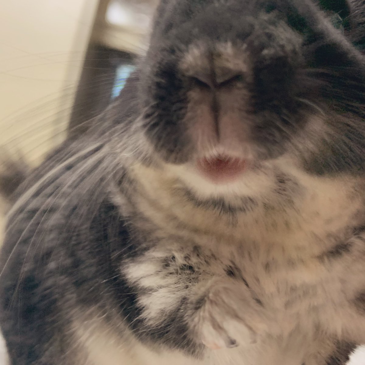 pppppino's tweet photo. Happybirthday🫶🏻💓愛しい愛しいぴのた🐭🍩 https://t.co/hec6y75KcO