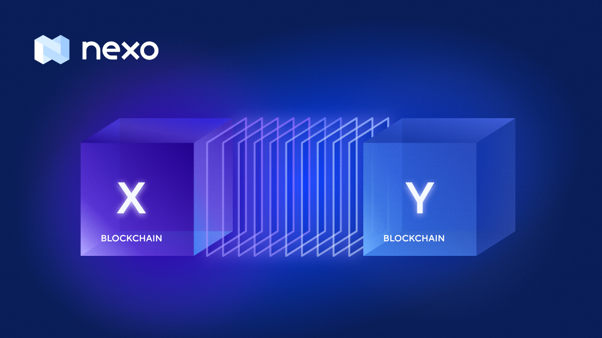 Nexo's tweet photo. On Nexo you can bridge assets across blockchains without paying gas fees. Because staying flexible is key.

A quick refresher on transferring your assets and what the #NexoBridge can do for you. https://t.co/UYrYT3incW