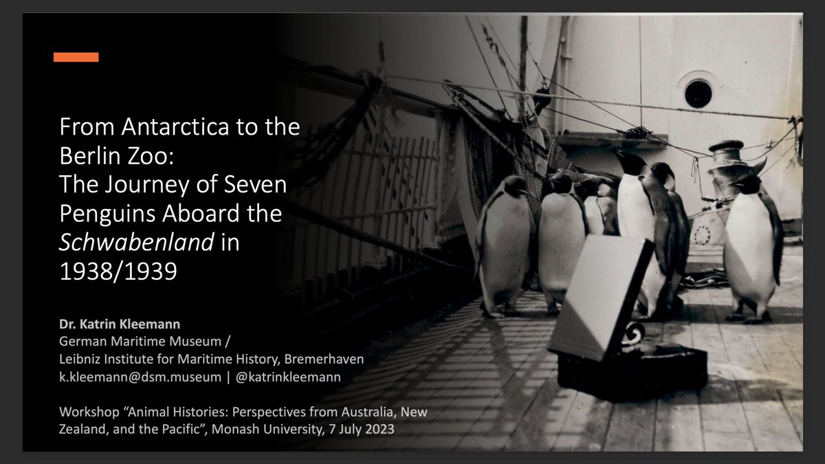 Dr. Katrin Kleemann tweet media