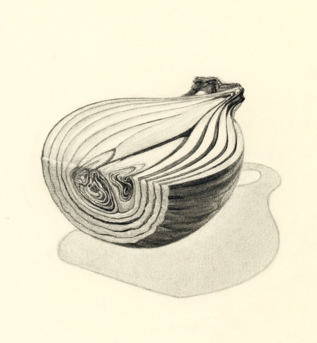 kyuseisya_'s tweet image. 断面