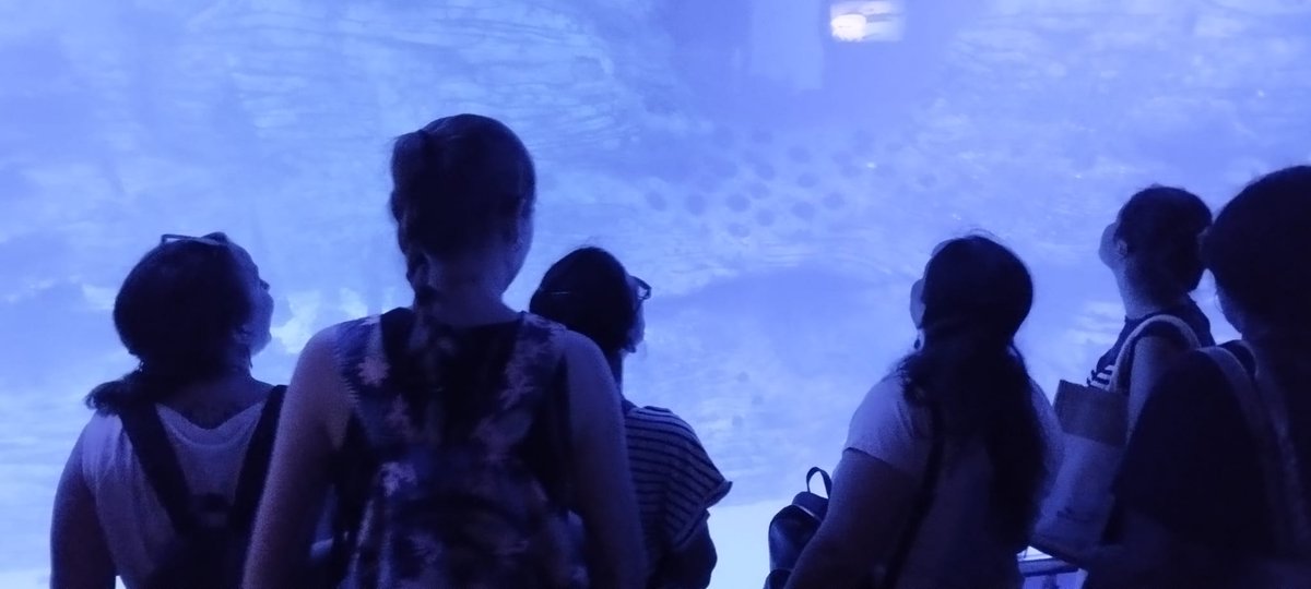 FAdsisValencia's tweet photo. Desde el proyecto #PilotemCV realizamos una salida al @Oceanografic_vl de València, donde disfrutamos de una mañana divertida y llena de conocimiento.

@GVAinclusio @inclusiongob @P_Recuperacion #NextGenerationEU https://t.co/K8uhslNiuW