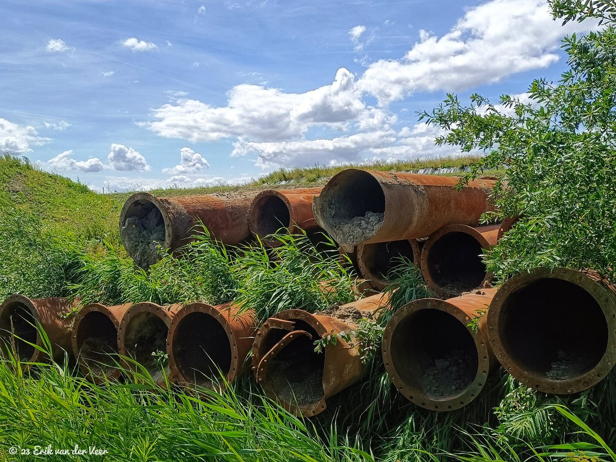'Aandacht voor klimaatadaptatie in Pasgeld noodzakelijk'. 
Fractie steld artikel 44 vragen aan college naar aanleiding van signalen uit de buurt/wijk. 

rijswijk.pvda.nl/nieuws/aandach…

#klimaatadaptatie #pasgeld #rijswijk #teampvda 🌹💪