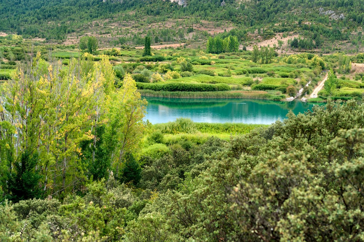turismoclm's tweet photo. La laguna grande #ElTobar, en el término municipal de Beteta, y Masegosa, en la provincia de #Cuenca, comarca del #AltoTajo, es una de las zonas de baño autorizadas para este verano. Posee tres kilómetros de perímetro y una profundidad de hasta veinte metros. ¡Un lugar único! https://t.co/hckg69KWYw