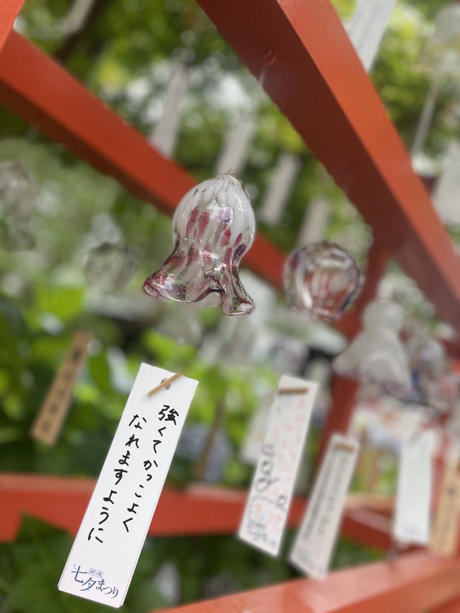 C0S_azuki's tweet photo. 風鈴祭りにお友達と行ってきた〜
めちゃくちゃ綺麗だったから一眼レフとかで撮りたかった………
カメラ欲しいね……… https://t.co/DYLLsKxLLR