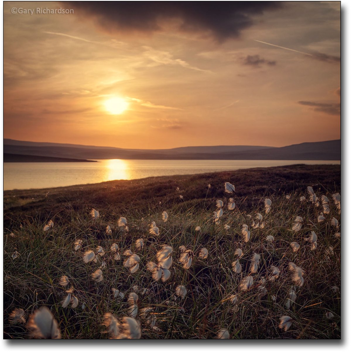 mountainsandsky's tweet photo. It's always nice to be able to look back through my archive of shots to see where/what I was doing in past years, this shot was taken 10 years ago today on a late evening walk in #upperteesdale at Cow Green reservoir. ๐ #UpperTeesdaleSunset, #TeesdaleSunsetWalk https://t.co/jzzV8x4PwM