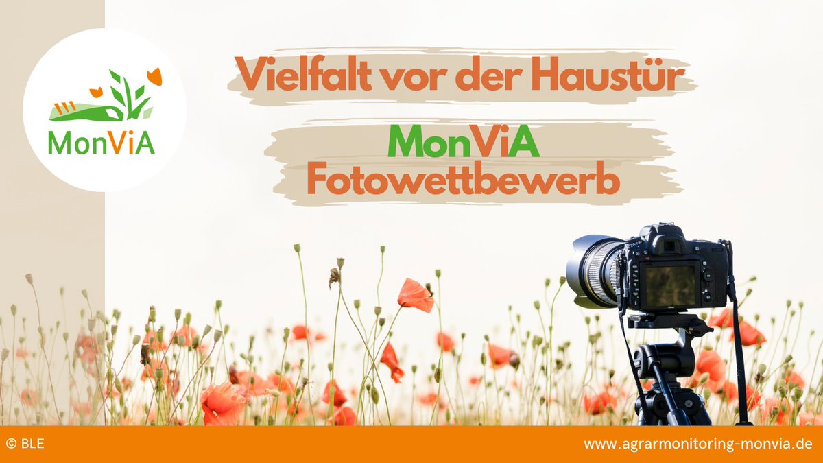BZL_aktuell's tweet photo. Die Spannung steigt – ab kommender Woche zeigen wir Euch nach und nach die schönsten Bilder aus unserem #MonViA-Fotowettbewerb.

Herzlichen Dank an alle Hobbyfotografinnen und –fotografen, die Deutschlands #Agrarlandschaften und ihre #Vielfalt für uns festgehalten haben 🌺🌳🐝! https://t.co/sDt35A1yM9