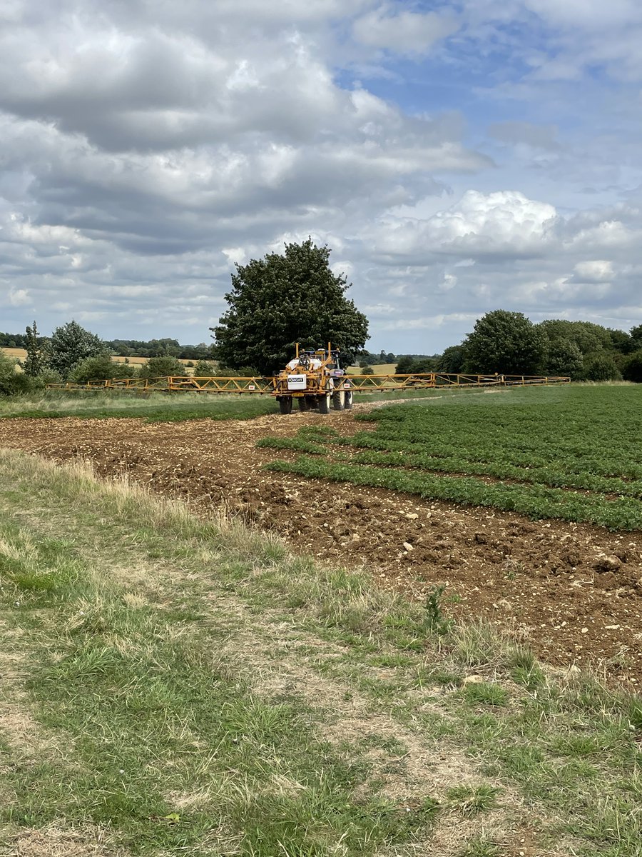 Branston Seed tweet media