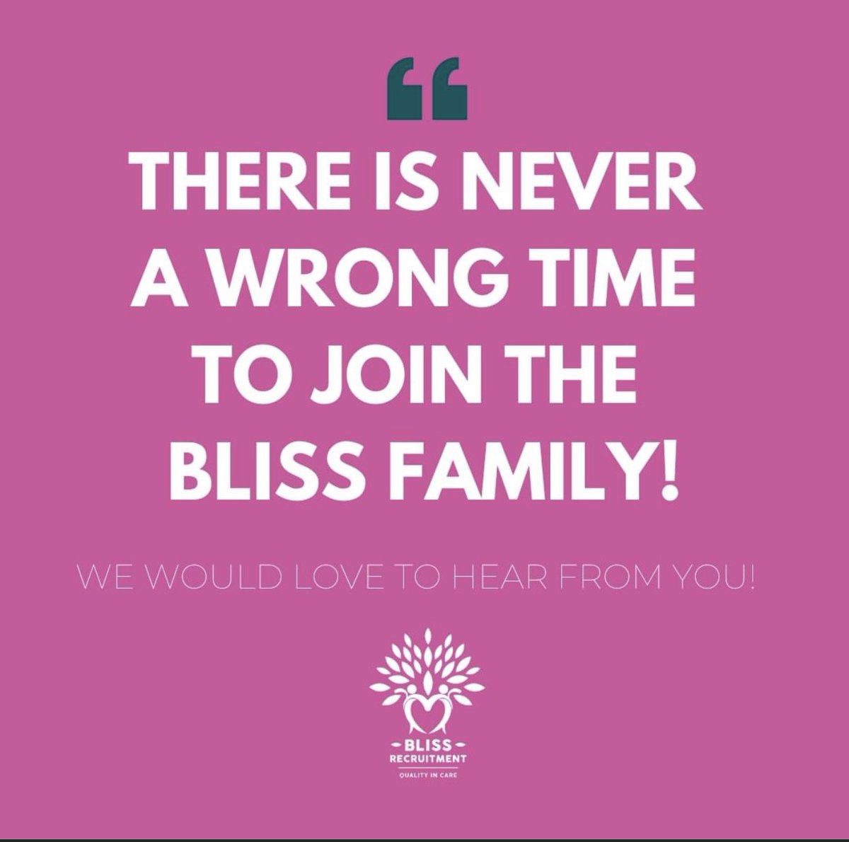 Bliss Recruitment Ltd tweet media