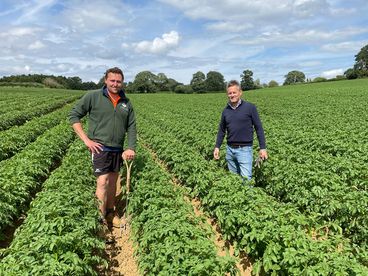 Branston Seed tweet media