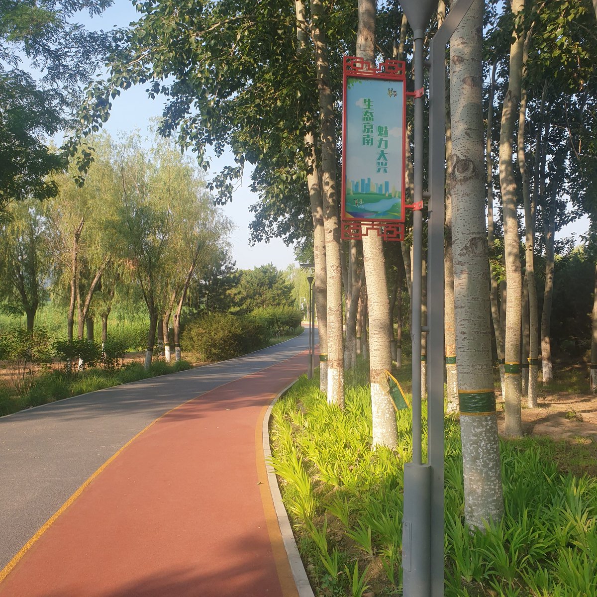 UNN_Trainer's tweet photo. 🏃🏼 我行动。我健康。我快乐。 🏃🏼
🌳 🌱 🌿 🌹 🌺 🌷 🏵️ 🌻
 #念坛公园  🇨🇳  #NiantanPark https://t.co/6WJLuNS3Cg