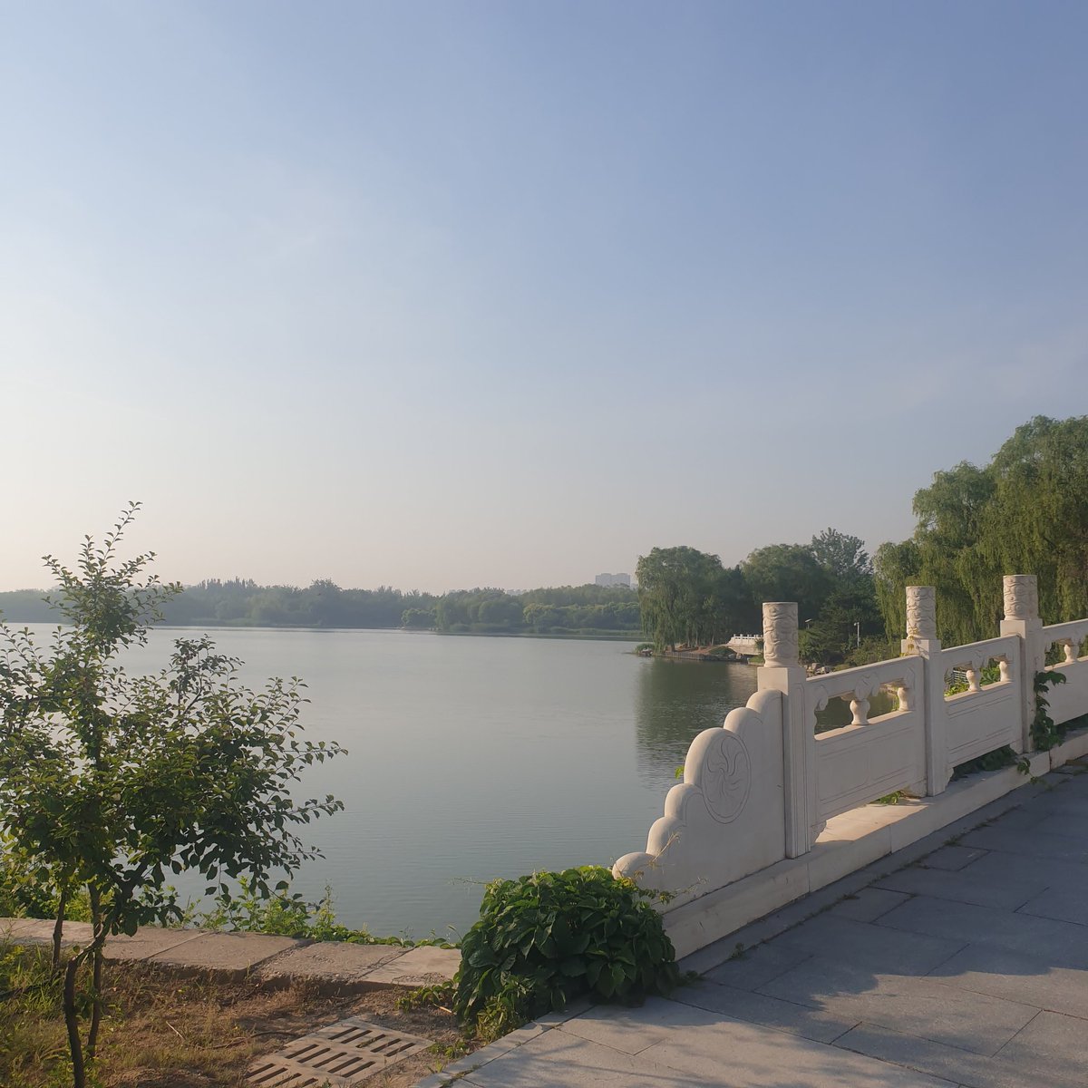 UNN_Trainer's tweet photo. 🏃🏼 我行动。我健康。我快乐。 🏃🏼
🌳 🌱 🌿 🌹 🌺 🌷 🏵️ 🌻
 #念坛公园  🇨🇳  #NiantanPark https://t.co/6WJLuNS3Cg
