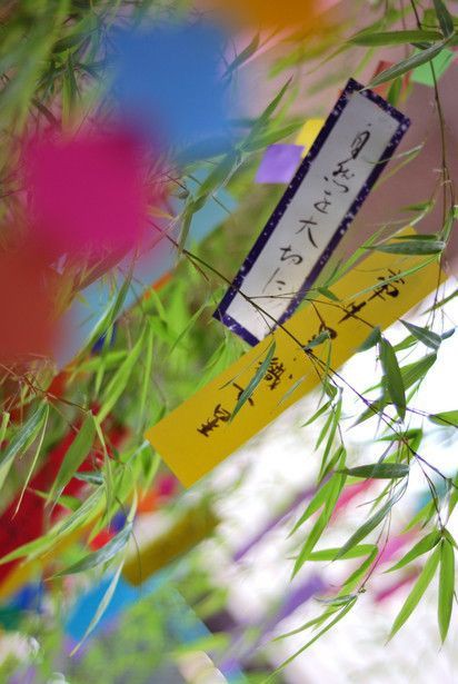 [ STORY TO BE TOLD ]
#TEYVLOKFESTA

—

"Selamat sore!"

Seluruh atensi kini tertuju kepada panggung. Sambutan yang bersemangat itu entah mengapa seolah turut membangkitkan semangat dari para pengunjung.

—